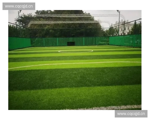 高效球场补草工具的选择与使用技巧提升绿茵场地质量